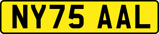 NY75AAL