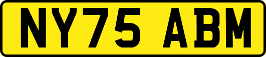 NY75ABM