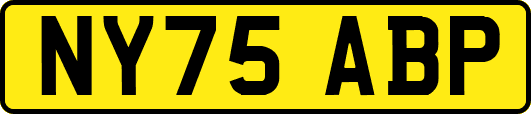 NY75ABP