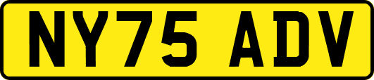 NY75ADV