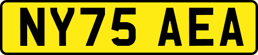NY75AEA