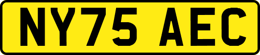 NY75AEC
