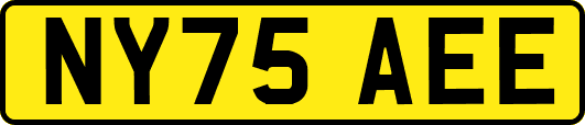 NY75AEE