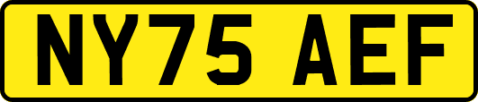NY75AEF