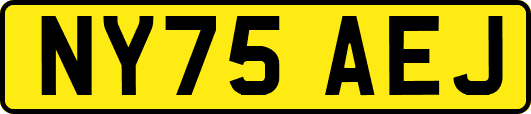 NY75AEJ
