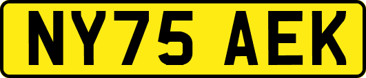 NY75AEK