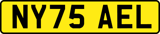 NY75AEL