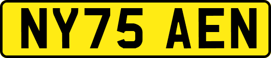 NY75AEN