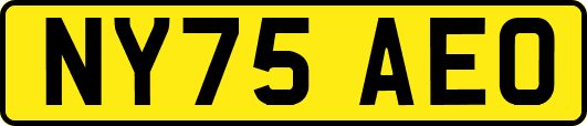 NY75AEO