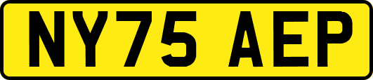 NY75AEP