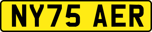 NY75AER