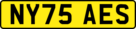 NY75AES