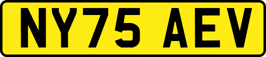 NY75AEV
