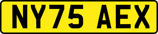 NY75AEX