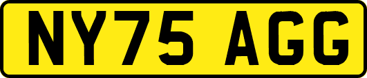 NY75AGG