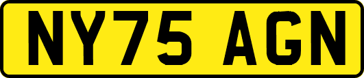 NY75AGN
