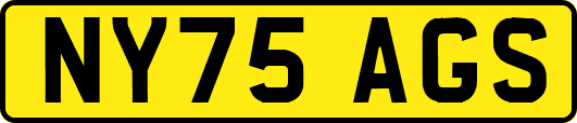 NY75AGS