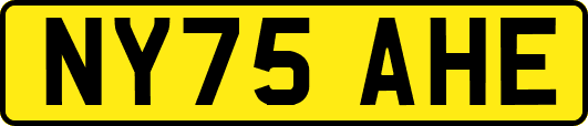 NY75AHE