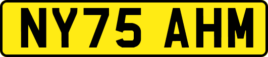 NY75AHM