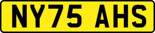 NY75AHS