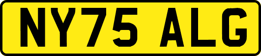 NY75ALG