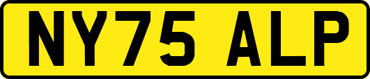 NY75ALP