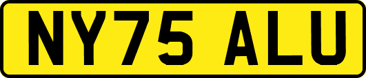NY75ALU