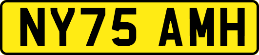 NY75AMH