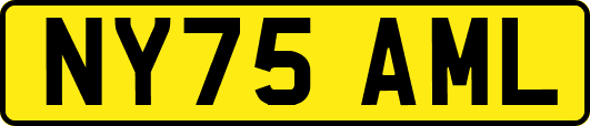 NY75AML