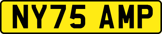 NY75AMP