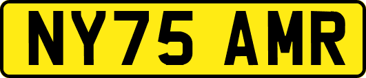 NY75AMR