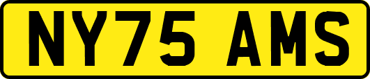 NY75AMS