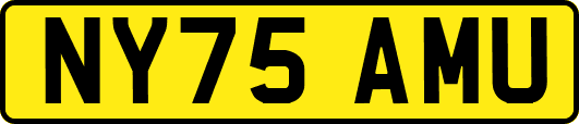 NY75AMU