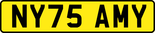 NY75AMY