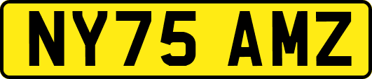 NY75AMZ