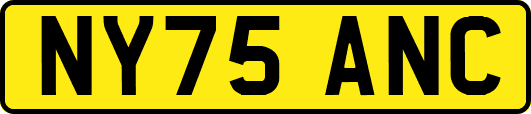 NY75ANC