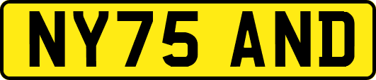 NY75AND