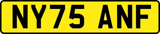 NY75ANF
