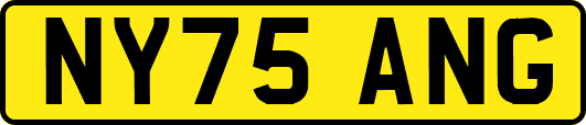 NY75ANG