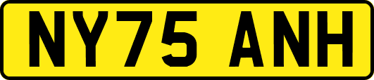 NY75ANH