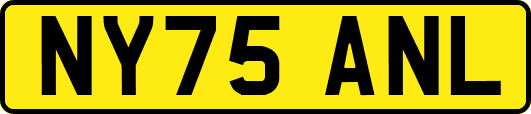 NY75ANL