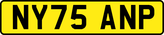 NY75ANP