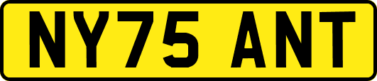 NY75ANT