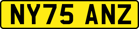 NY75ANZ