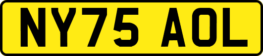 NY75AOL