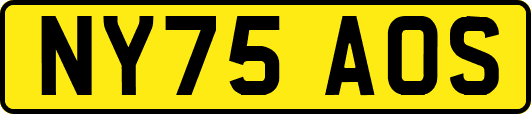 NY75AOS