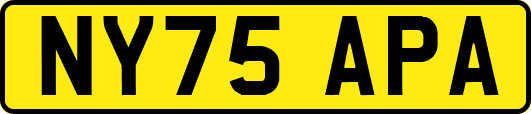NY75APA