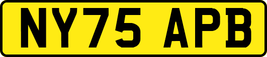 NY75APB