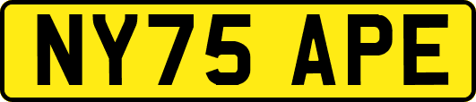 NY75APE