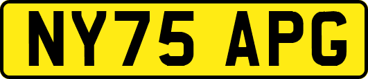 NY75APG